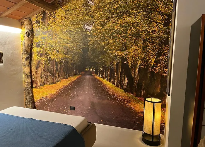 Apartament Contessa Massari *